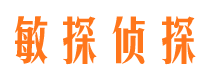 石鼓捉小三公司